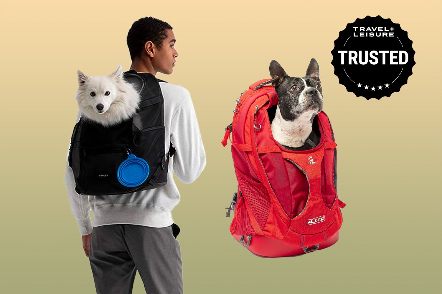 10 Best Dog Backpacks for 2024: Top Picks for Your Furry Friend