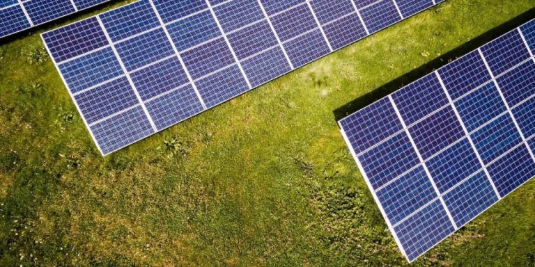 10 Best Cattle Panels for 2024: The Ultimate Guide to Quality Products 10 Best Cattle Panels for 2024: The Ultimate Guide to Quality Products