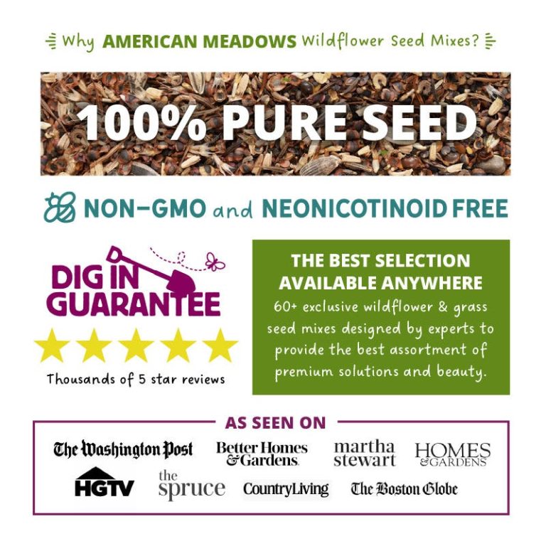 10 Best American Meadows Products for 2024: Top Picks for Your Garden 10 Best American Meadows Products for 2024: Top Picks for Your Garden