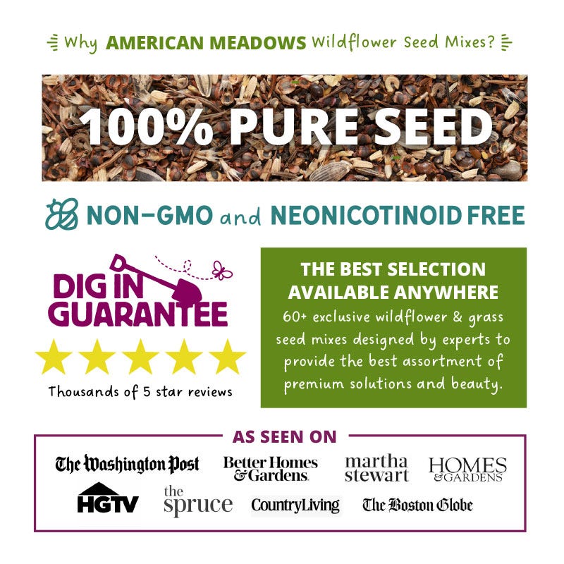 10 Best American Meadows Products for 2024: Top Picks for Your Garden 10 Best American Meadows Products for 2024: Top Picks for Your Garden
